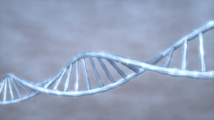 Human DNA.