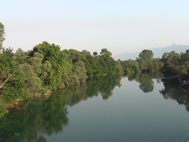 Reflection of trees in the river