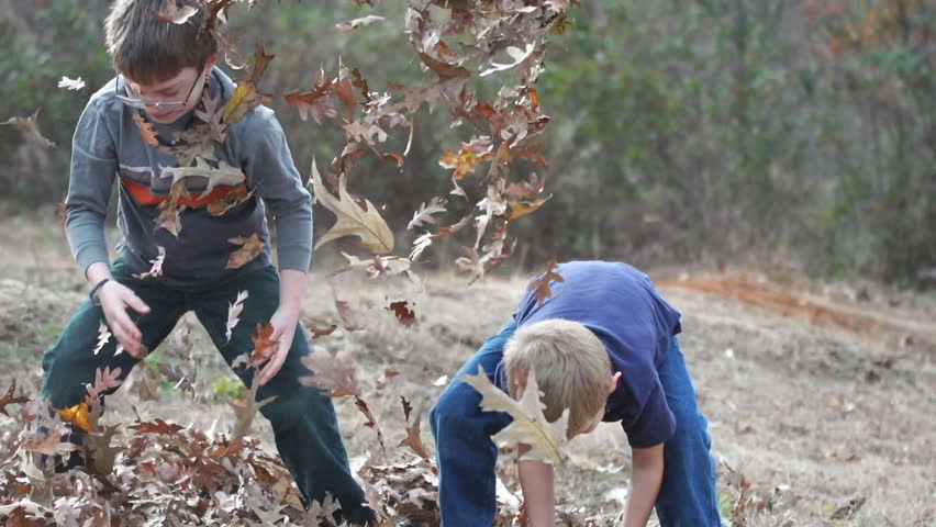 Children  playing in a pile of leaves , slow  motion 40% real time. brothers,