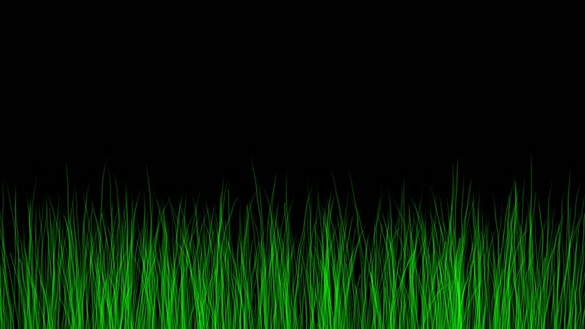 Simulated grass growing on black background.  Animation created in After