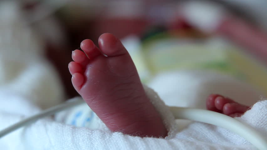 premature baby feet