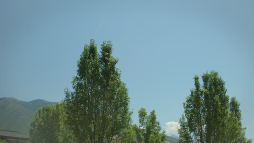 High School Students Relax In The Grass