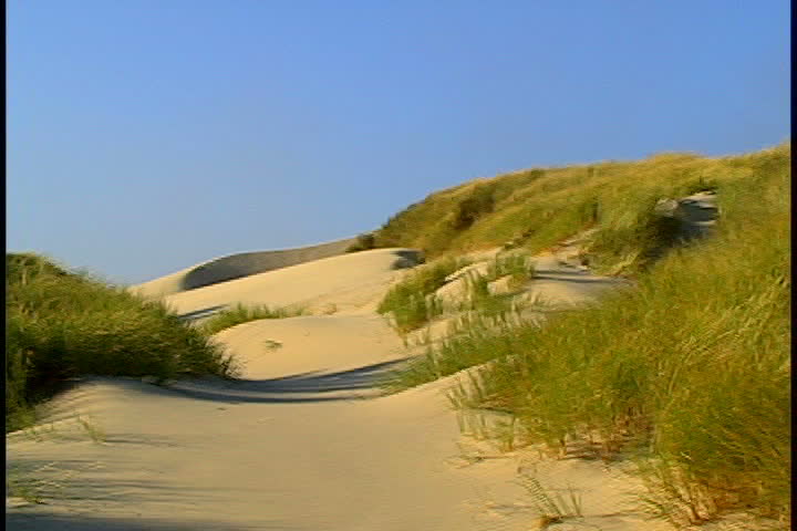 Sand dune