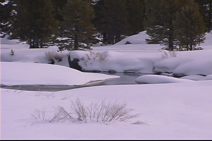 Snowy field