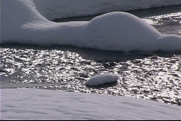 Snowy stream