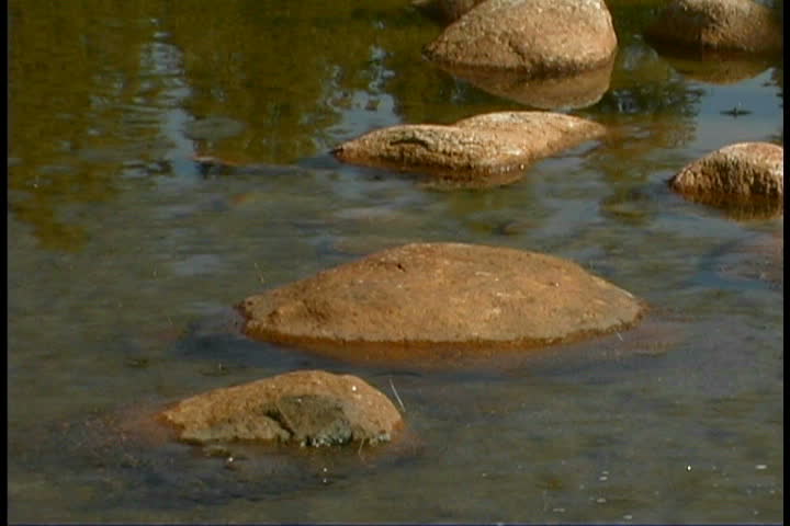 river with rocks