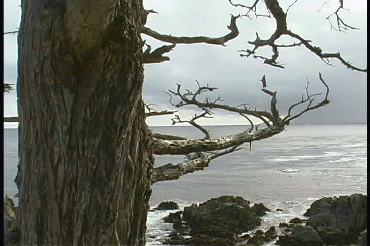 Coastline view
