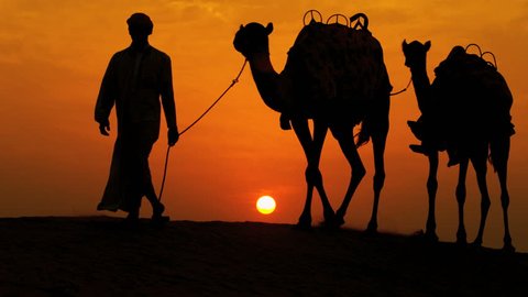 Arab male traditional headdress robe walking his camels over desert sand dunes silhouette sunset shot on RED EPIC, 4K, UHD, Ultra HD resolution 