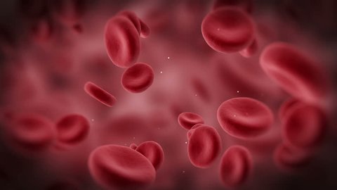 Animation of Red Blood Cells Flowing Through Vein. HQ Video Clip