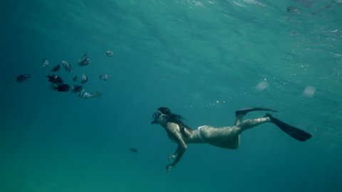 Snorkeling woman in Fernando de Noronha island, Brazil. Underwater in clear paradise ocean. Adventure concept