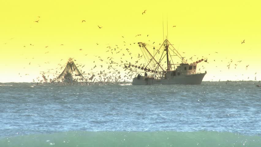 Two commercial fishing boats on the morning horizon in the distance.  In 4K
