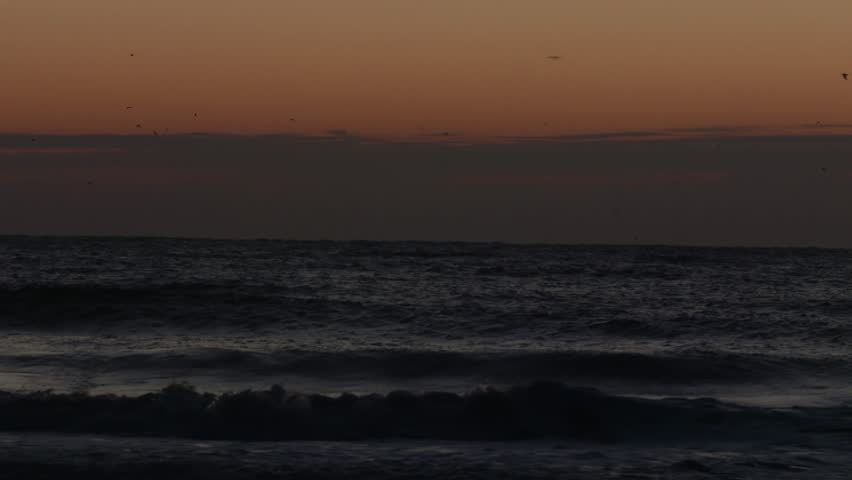 Seagulls flying over the morning ocean.  In 4K UltraHD.