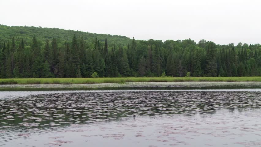 pan of lake on a misty day from a boat 