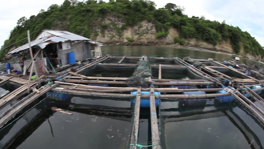 A platform has been constructed in Buyat Bay, Indonesia to keep fish alive for