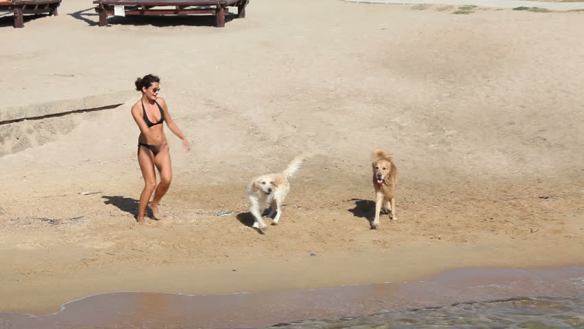 Young girl playing on the beach with her dogs
