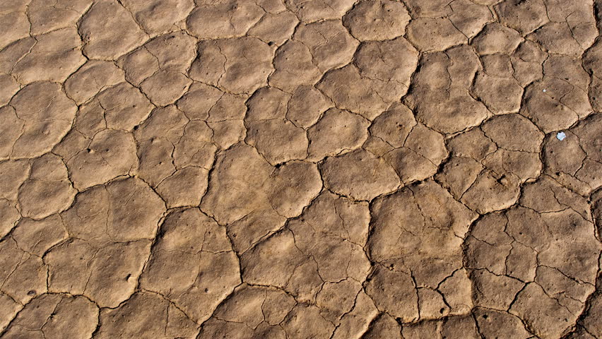 Pan of Skull on the Desert Floor - Death Valley - 4K, Ultra HD, UHD resolution
