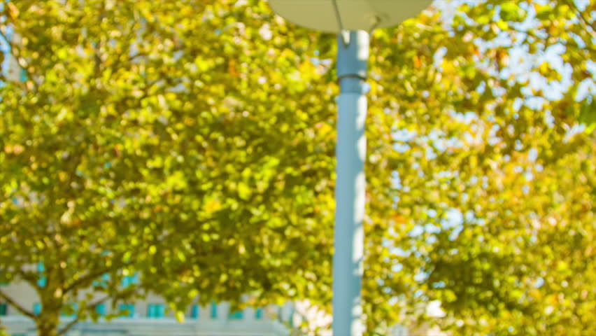 Panning Towards Signage Welcoming Visitors to Pack Square Park in Downtown Asheville, NC on a Sunny Day in the Fall.