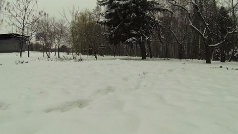 Flight over snow in park. Aerial