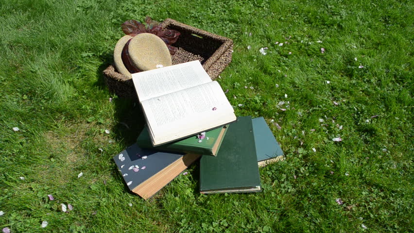 Student woman come and pick thick old books to wicker basket on green meadow grass and walk away.