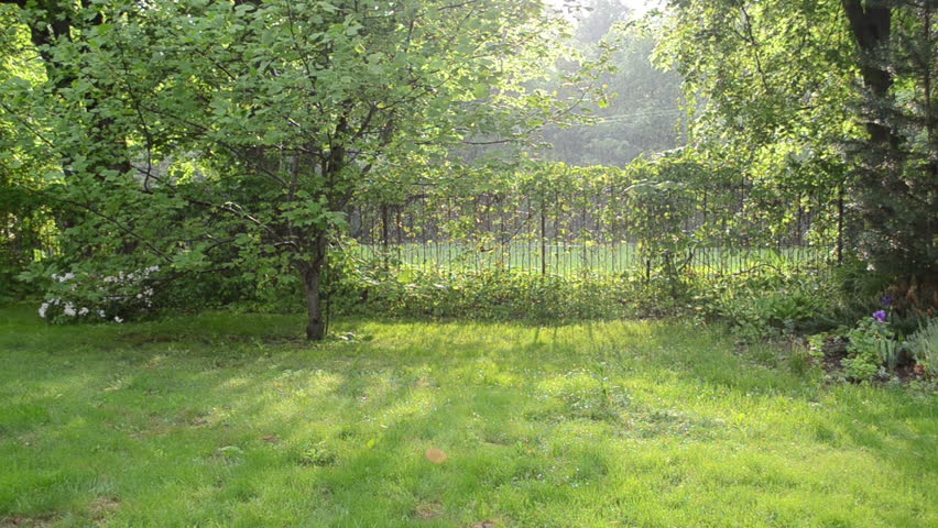 Woman girl in shorts and rubber gumboots shoes walk with white umbrella in rainy garden near tulip-tree. Strong rain fall.