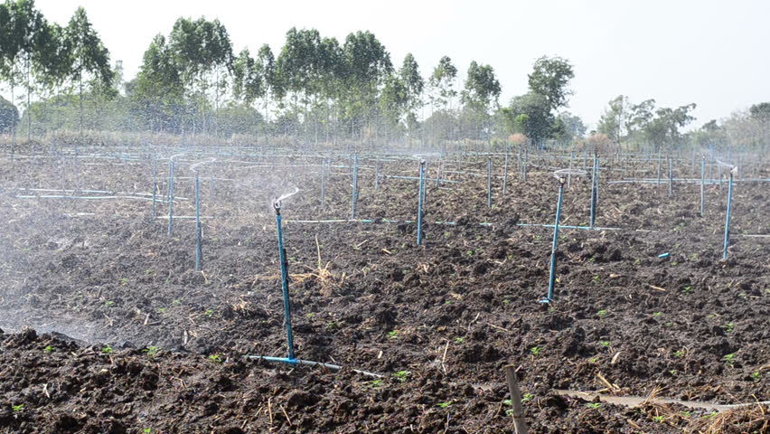 Watering system for agriculture plantation