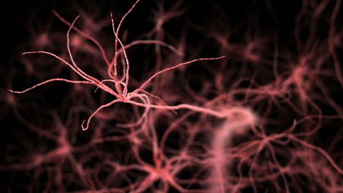 Neurone synapse network. Flight through brain. 3D animation.  Stockvideo