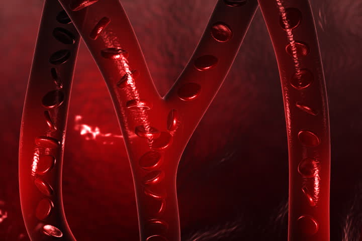 Digital Footage of Blood Cell Stock Footage Video (100% Royalty-free