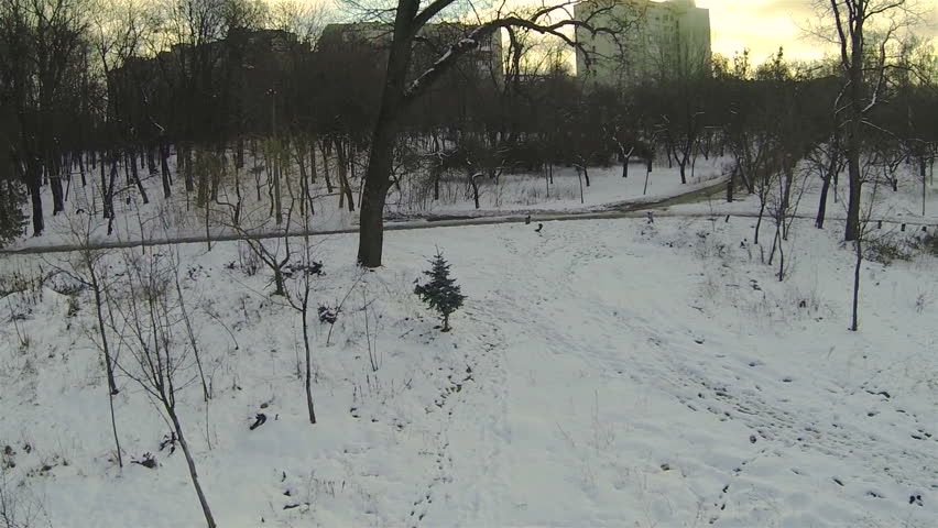 Panorama of  winter city park. Aerial