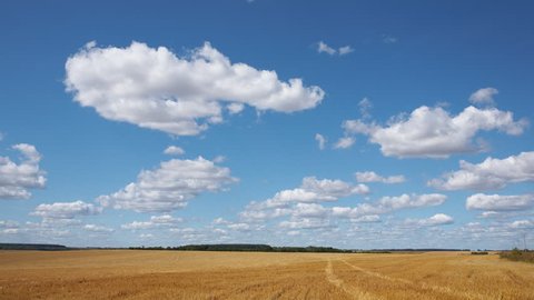 Time-lapse: white clouds flying on blue sky over yellow field