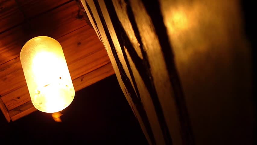 Moths flying around a light bulb (time lapse)
