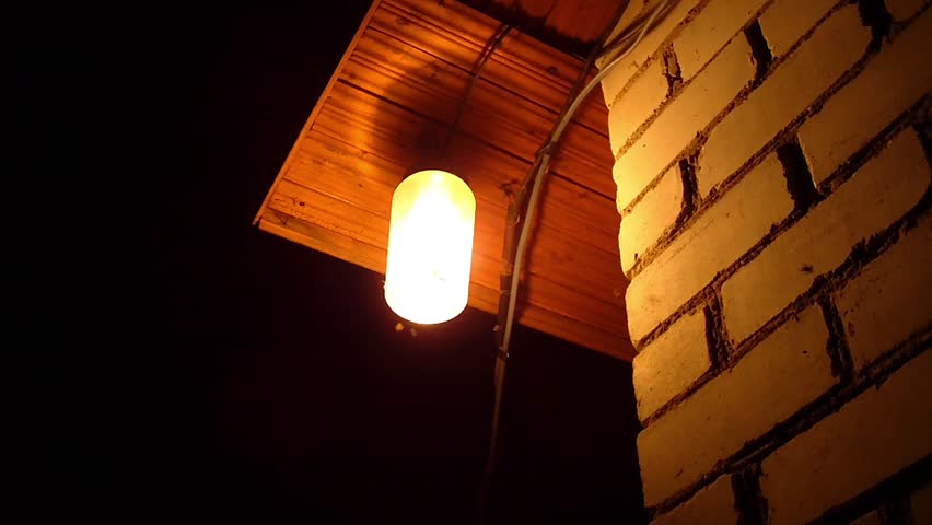 Moths flying around a light bulb