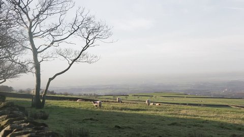 Farmland Scenery in Lancaster, United Kingdom