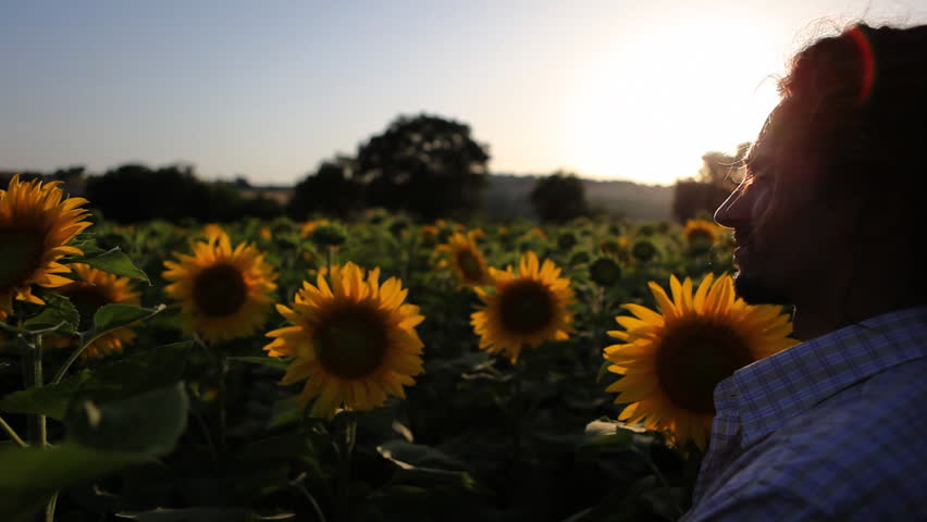 Friends in the sunflower field during sunset