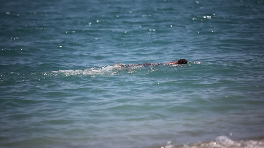 Sportive man swimming in mediterranean sea
