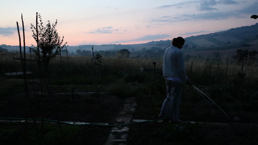 Woman doing garden work at dawn
