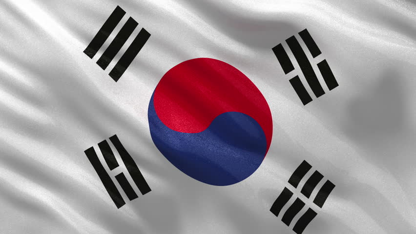 Flag of South Korea Gently Stock Footage Video (100
