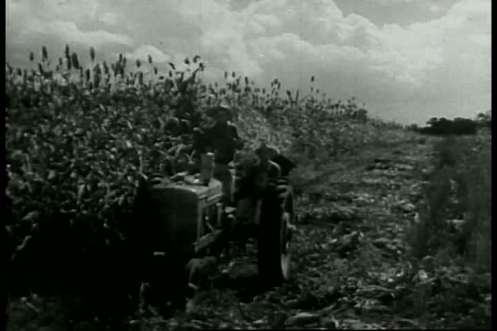 A 1943 film about the construction of the Alabama Army Ammunition Plant near Childersburg, Alabama during WWII. 