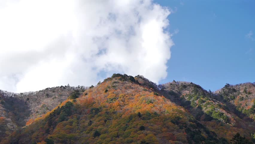 Looking up at Autumn Mountains