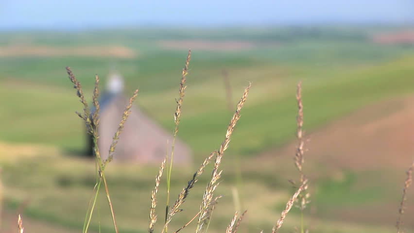 Palouse, Washington, Classic salt barn coming into focus