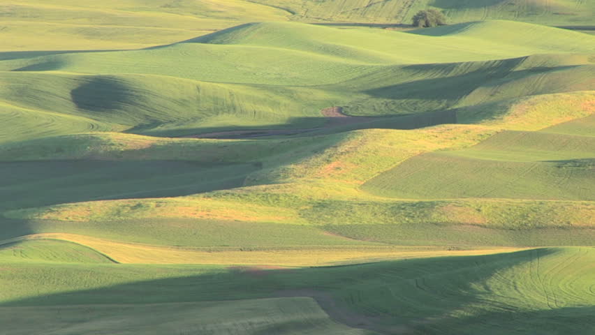 Large landscape view of the Palouse, Washington area from Steptoe Butte, zoom out
