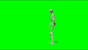 dancing skeleton - skeleton dances a rap - green screen Video Footage