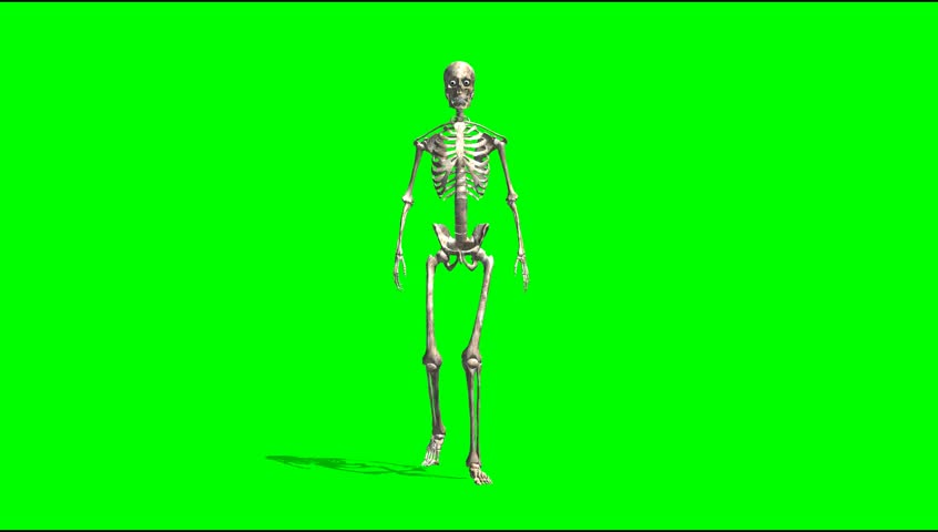 walking skeleton green screen video animation Stock Footage Video (100%