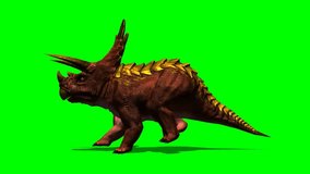 Dinosaurs Triceratops running animation green screen video Footage