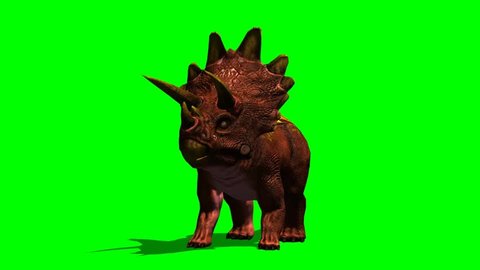 Dinosaurs Triceratops roars animation green screen video Footage