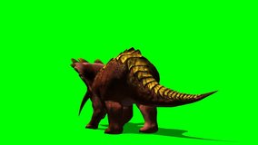 Dinosaurs Triceratops eat animation green screen video Footage