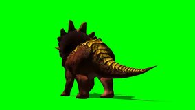 dinosaur  Triceratops dies and falls to the Ground animation green screen video footage