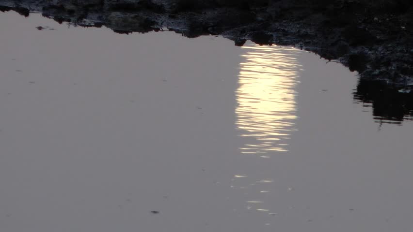 Moonlight reflection ripples on a water
