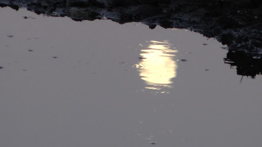 Moonlight reflection ripples on a water