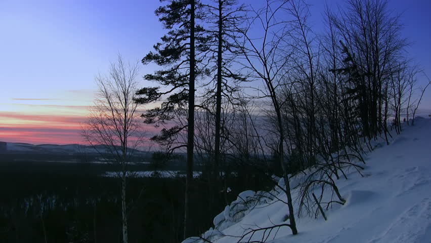 Mountains and forest. Winter. Sunset. Panorama