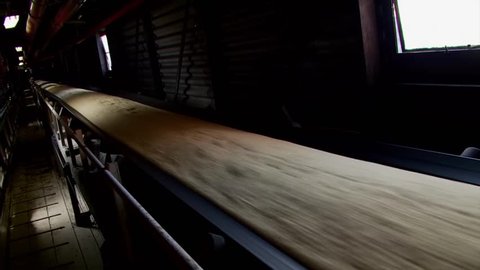 Raw Sugar on conveyor  belt